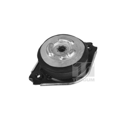 TEDGUM Lagerung, Motor 00418536