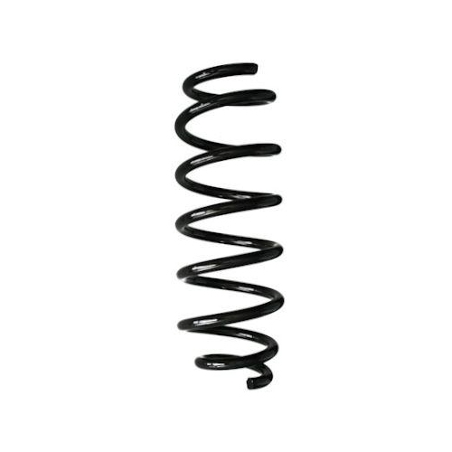 SPIDAN Fahrwerksfeder GKNW10274