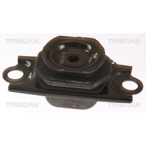 TRISCAN Lagerung, Motor 8505 25123