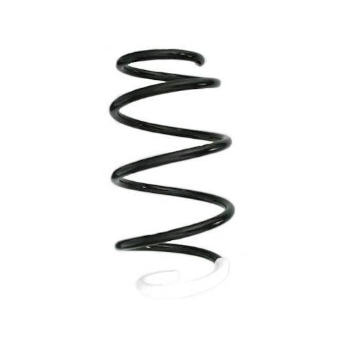 SPIDAN Fahrwerksfeder GKNW10211