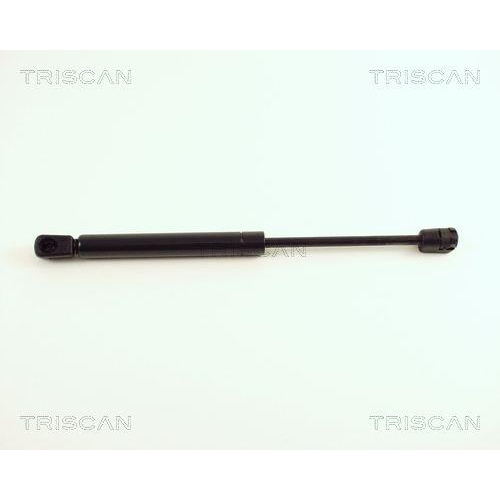 TRISCAN Gasfeder, Koffer-/Laderaum 8710 29248