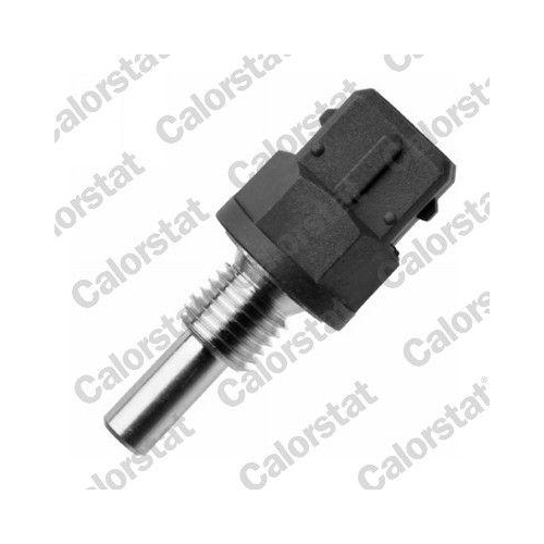 CALORSTAT by Vernet Sensor, K&uuml;hlmitteltemperatur WS3055