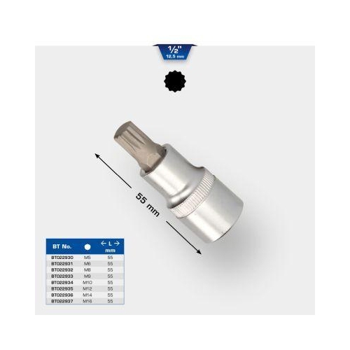 1/2 Zoll Vielzahn-Bit-Stecknuss, 55 mm lang, M5 BRILLIANT TOOLS BT022930