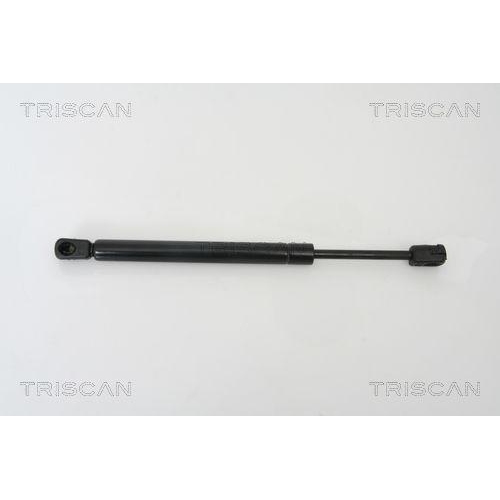 TRISCAN Gasfeder, Koffer-/Laderaum 8710 29260
