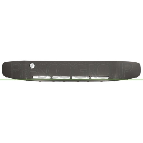 PRASCO Zier-/Schutzleiste, Sto&szlig;f&auml;nger PremiumCertified VG2011245