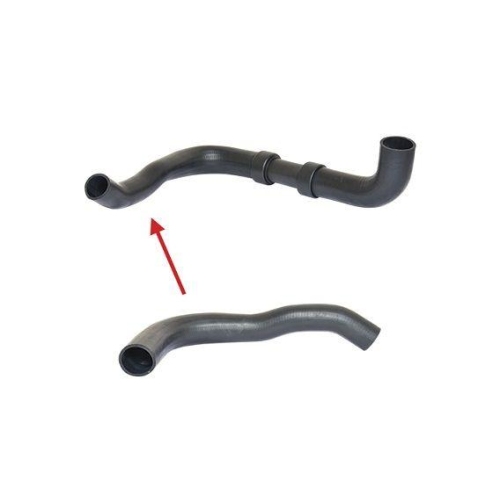 BUGIAD Ladeluftschlauch 88789