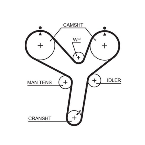 GATES Zahnriemen PowerGrip&trade; 5536XS