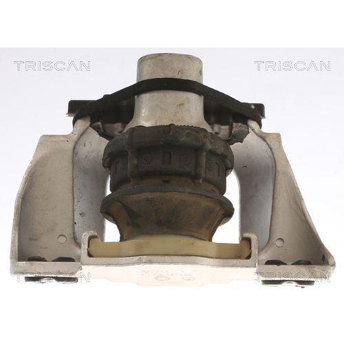 TRISCAN Lagerung, Motor 8505 27105