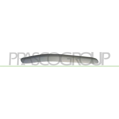 PRASCO Zier-/Schutzleiste, Sto&szlig;f&auml;nger ME0261246