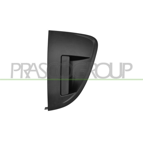 PRASCO T&uuml;rau&szlig;engriff DW3288102
