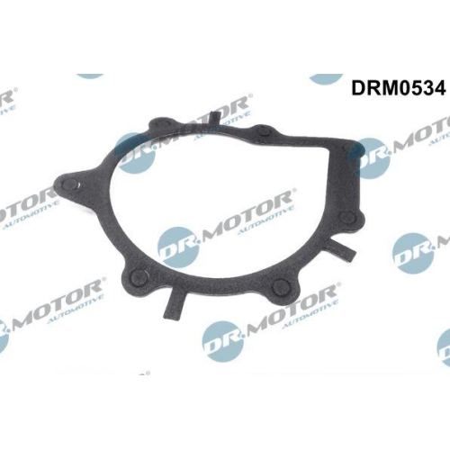 Dr.Motor Automotive Dichtung, Wasserpumpe DRM0534
