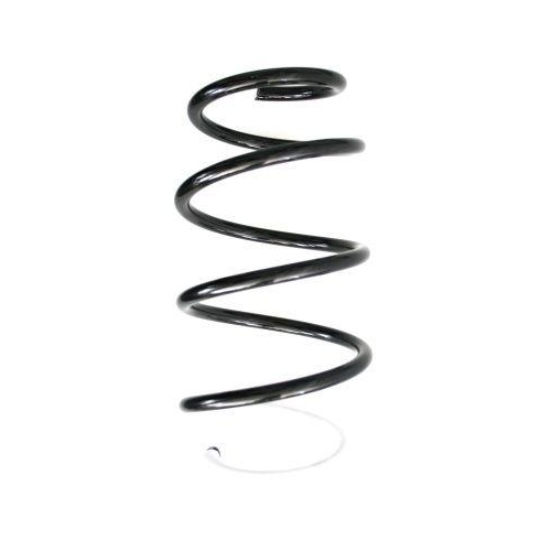 SPIDAN Fahrwerksfeder