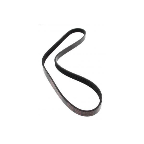 MAPCO Keilrippenriemen 251030