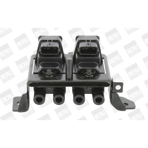 BorgWarner (BERU) Z&uuml;ndspule ZSE195