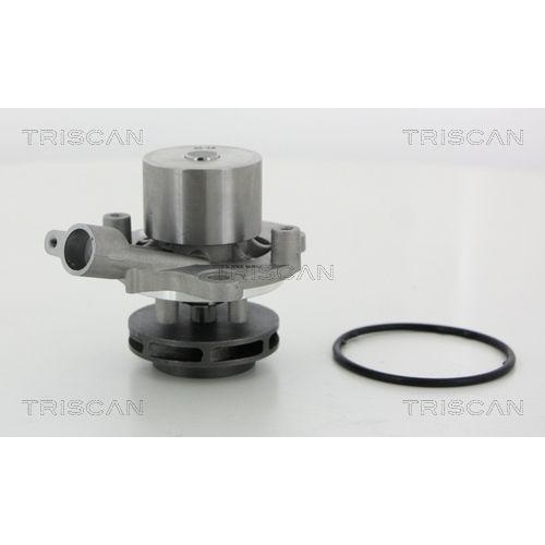 TRISCAN Wasserpumpe, Motork&uuml;hlung 8600 29065