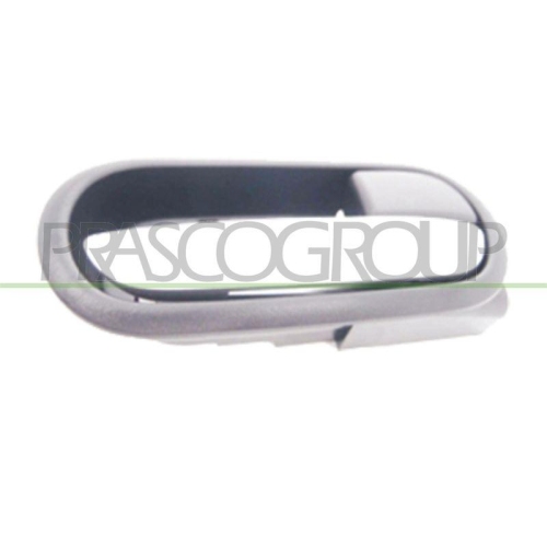 PRASCO T&uuml;rgriff, Innenausstattung MZ3098605