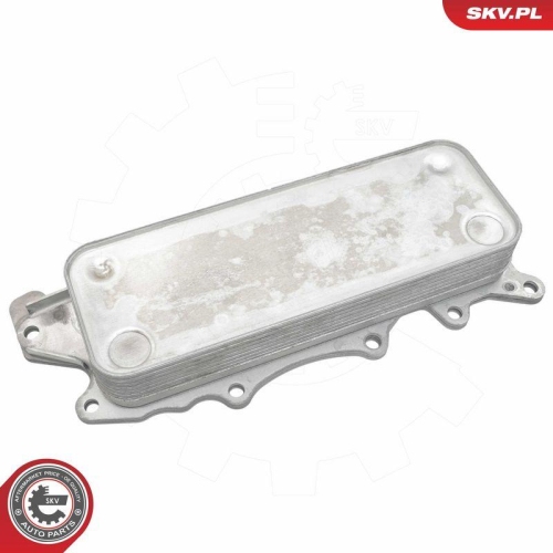 ESEN SKV &Ouml;lk&uuml;hler, Motor&ouml;l 31SKV325