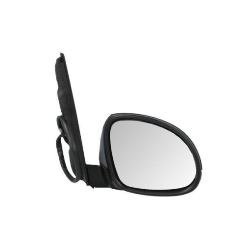 BLIC Außenspiegel 5402-10-2002264P