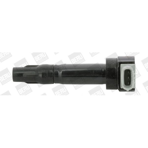BorgWarner (BERU) Z&uuml;ndspule ZS547