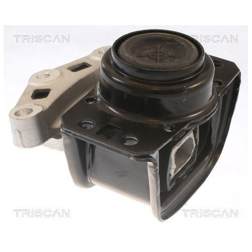 TRISCAN Lagerung, Motor 8505 28108