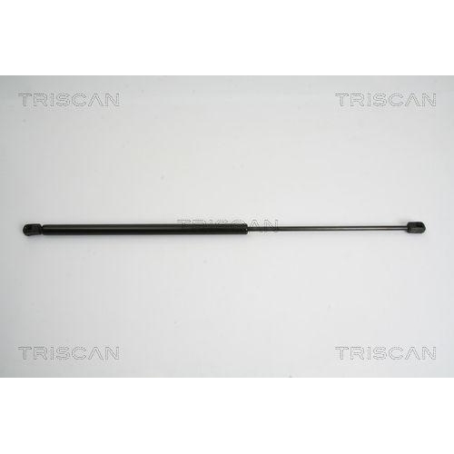 TRISCAN Gasfeder, Koffer-/Laderaum 8710 38222