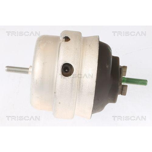 TRISCAN Lagerung, Motor 8505 29105