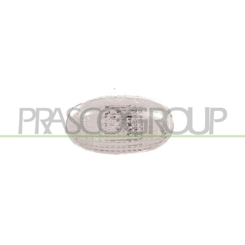 PRASCO Blinkleuchte DW3204141