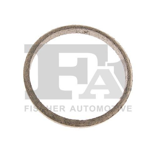 FA1 Dichtring, Lader 411-586