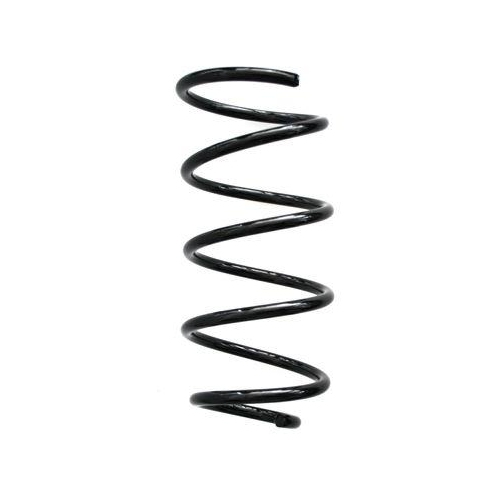 SPIDAN Fahrwerksfeder