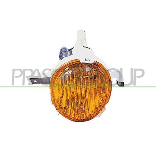 PRASCO Blinkleuchte DW3224003