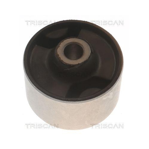 TRISCAN Lagerung, Lenker 8500 24894