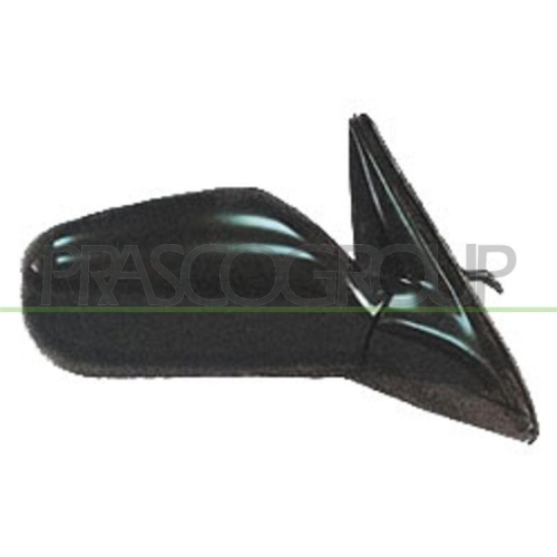 PRASCO Au&szlig;enspiegel TYC DS1747313