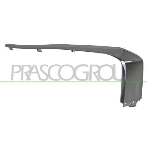 PRASCO Zier-/Schutzleiste, Sto&szlig;f&auml;nger MB8261233