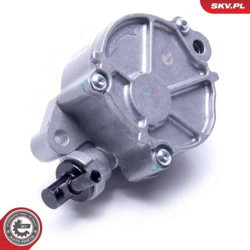 ESEN SKV Unterdruckpumpe, Bremsanlage 18SKV047