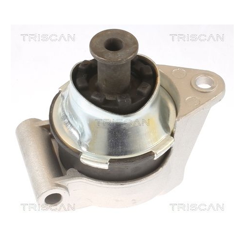 TRISCAN Lagerung, Motor 8505 24110
