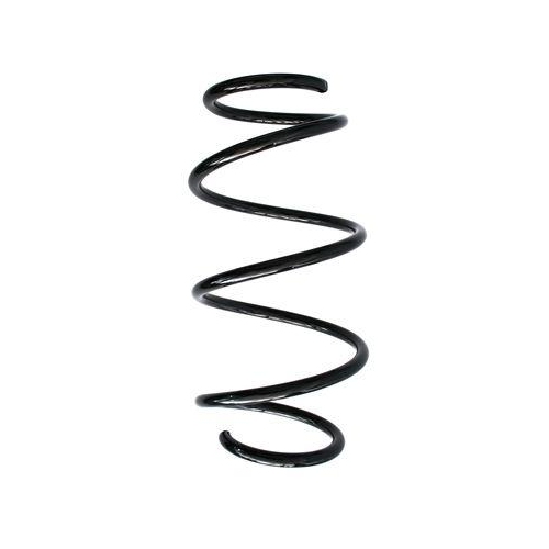 SPIDAN Fahrwerksfeder