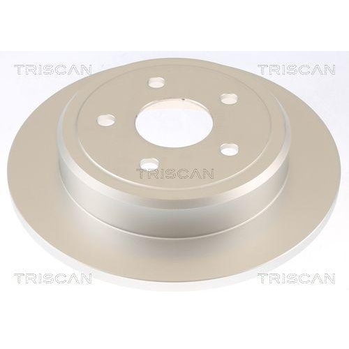 TRISCAN Bremsscheibe 8120 101069C