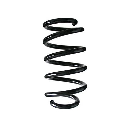 SPIDAN Fahrwerksfeder