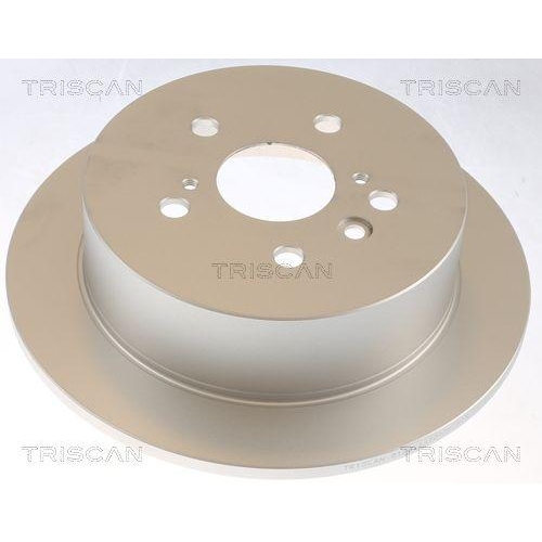 TRISCAN Bremsscheibe 8120 131013C