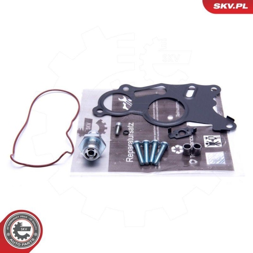 ESEN SKV Reparatursatz, Unterdruckpumpe (Bremsanlage) 18SKV803