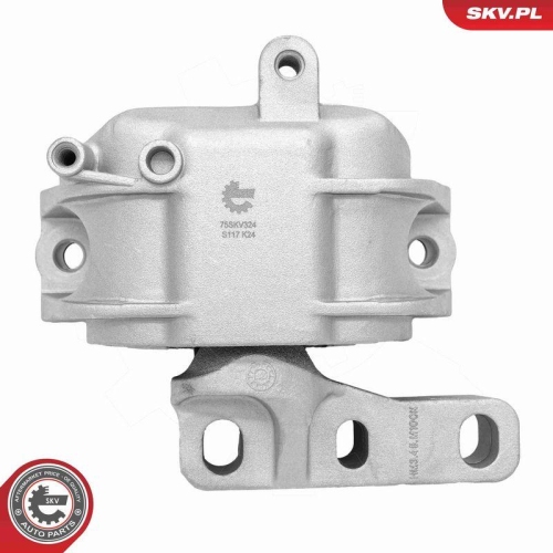 ESEN SKV Lagerung, Motor 75SKV324