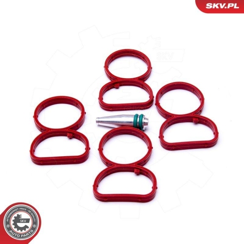 ESEN SKV Reparatursatz, Saugrohrmodul 49SKV513