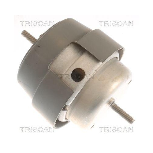 TRISCAN Lagerung, Motor 8505 29169