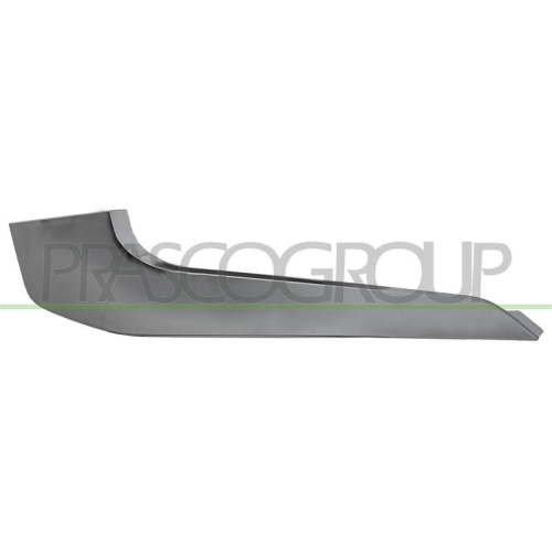 PRASCO Zier-/Schutzleiste, Sto&szlig;f&auml;nger MB8261244