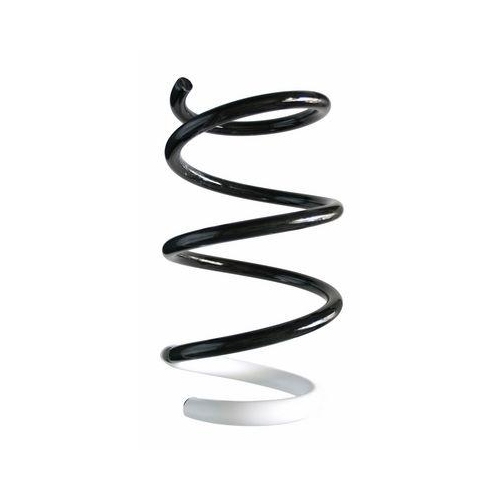 SPIDAN Fahrwerksfeder