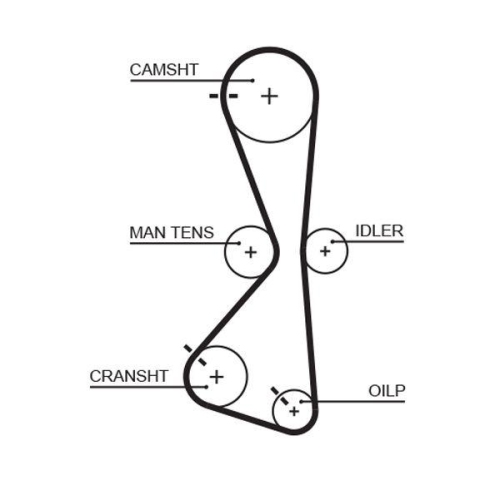 GATES Zahnriemen PowerGrip&trade; 5609XS