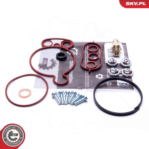 ESEN SKV Reparatursatz, Unterdruckpumpe (Bremsanlage) 18SKV805