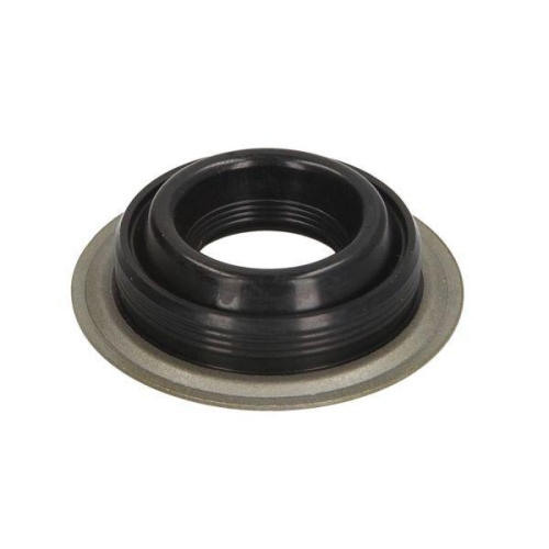 ENGITECH Dichtring, Einspritzventil ENT250524