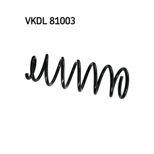 SKF Fahrwerksfeder VKDL 81003