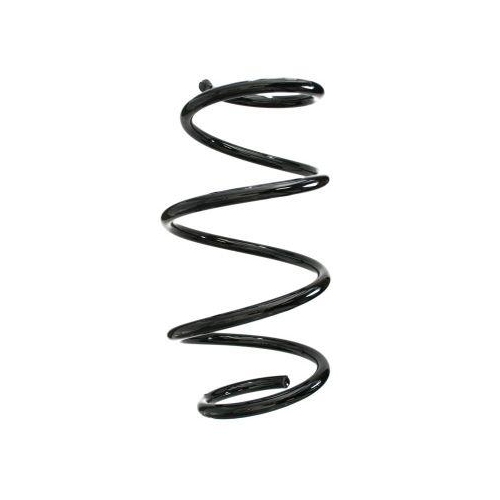 SPIDAN Fahrwerksfeder